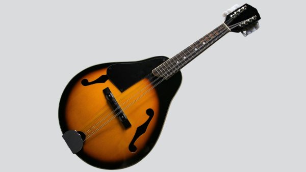 Mandolin-Instrument